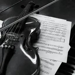 Profile image of 서라더