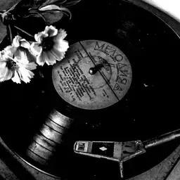 Profile image of 박덕개