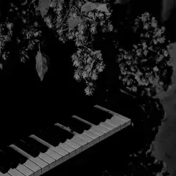 Profile image of 김각별