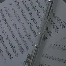 Profile image of 황수현