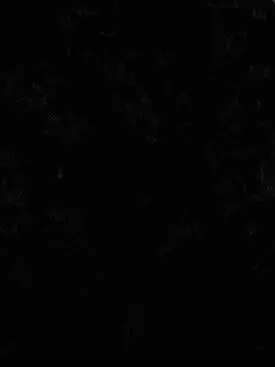 ...ooopqpqo의 Ты мой