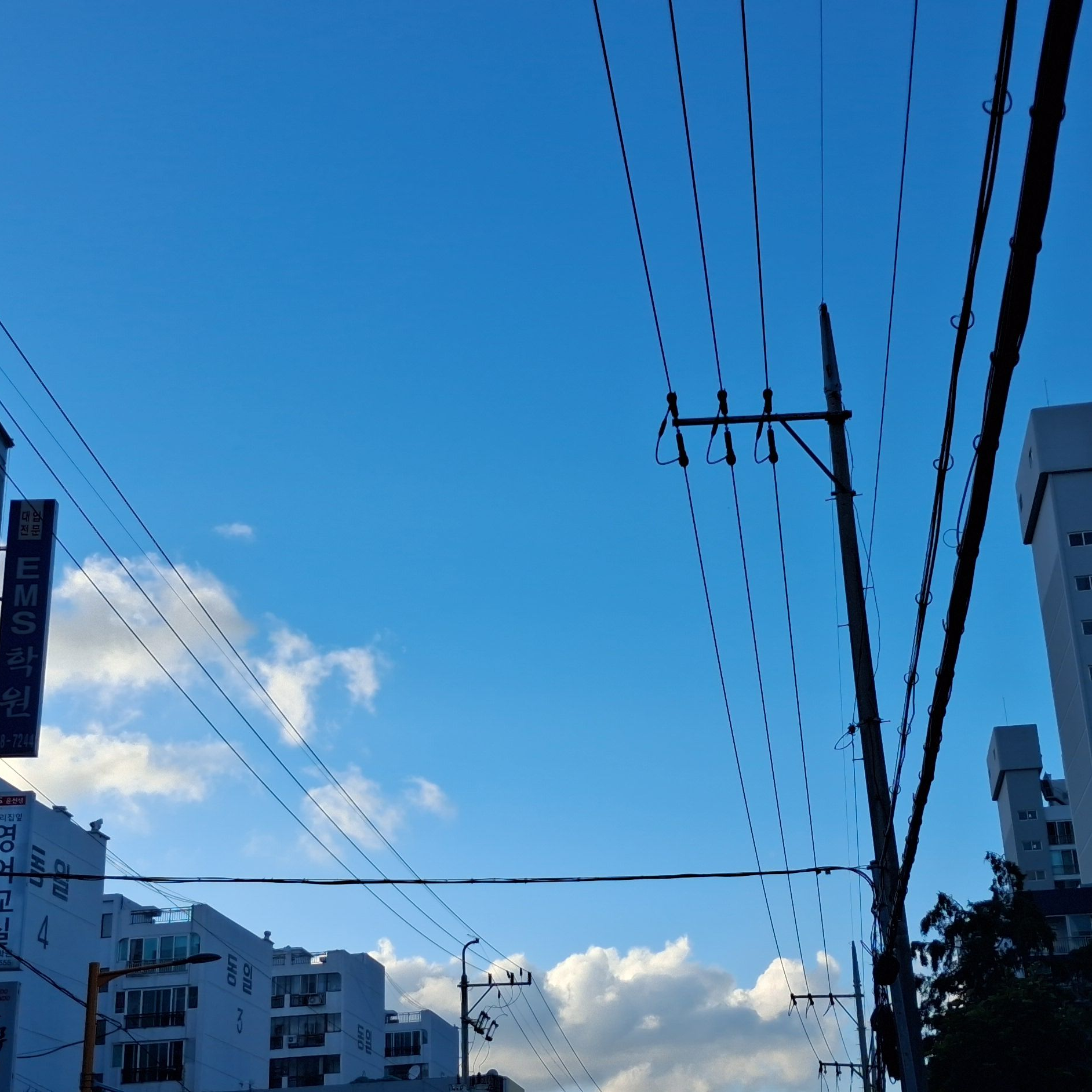 픽셀리 대표 이미지