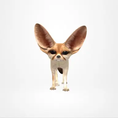 Profile image of 여우