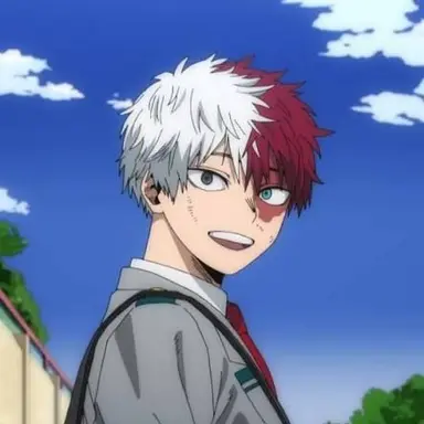Profile image of Shoto Todoroki