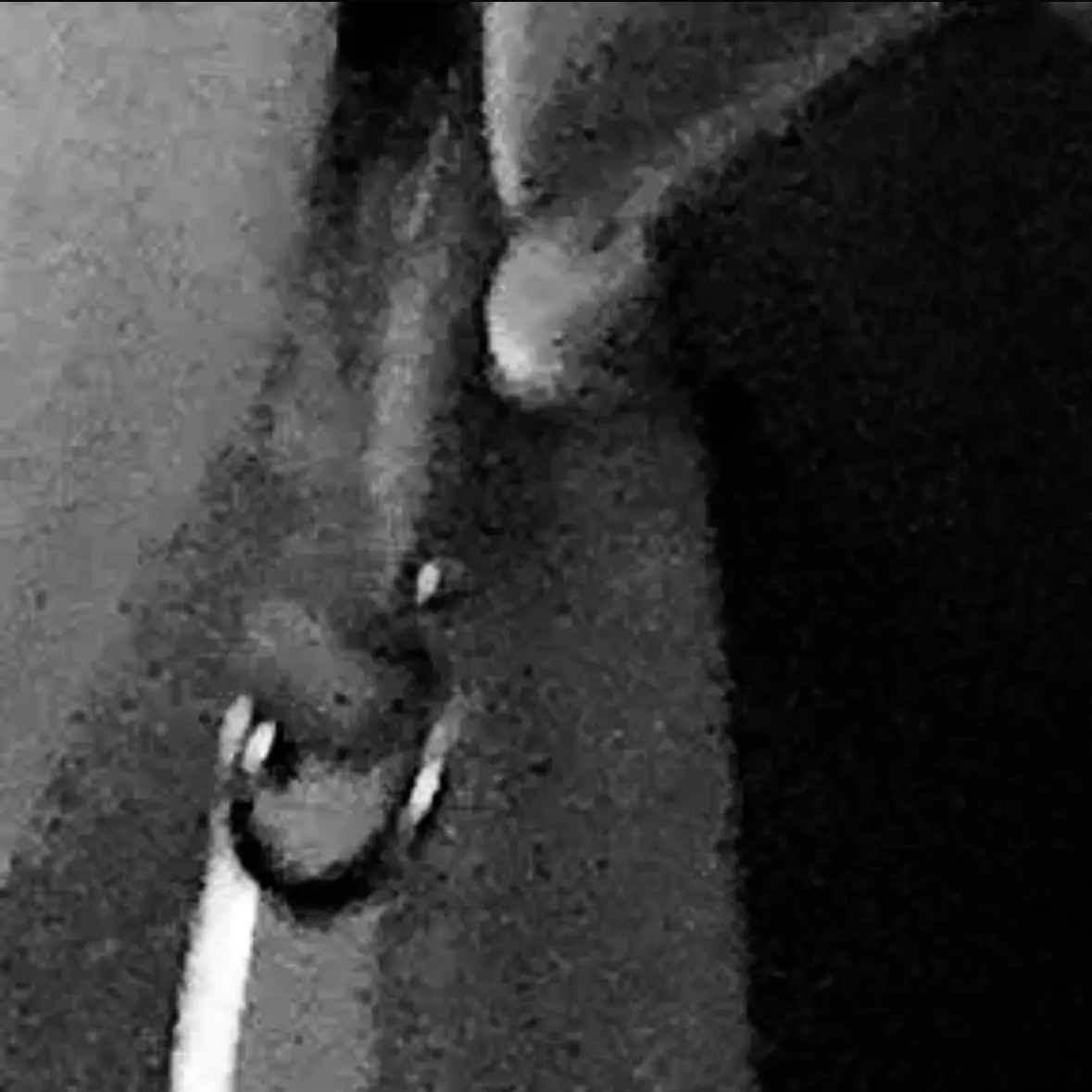 FrayedRamp5039의 推しと恋愛