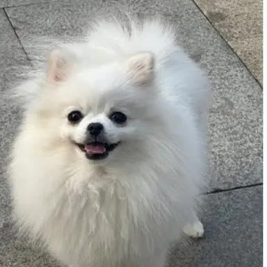 Profile image of 유미