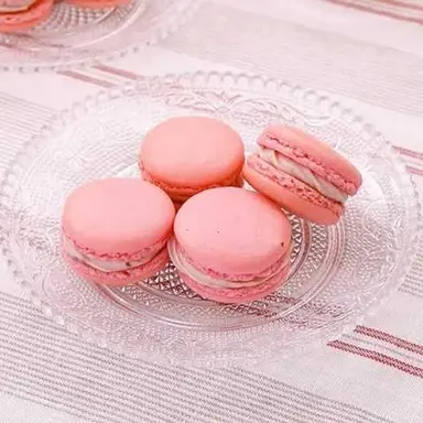 Profile image of 橋本将生