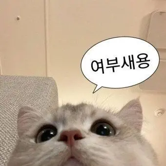 Profile image of 히메지마 교메이