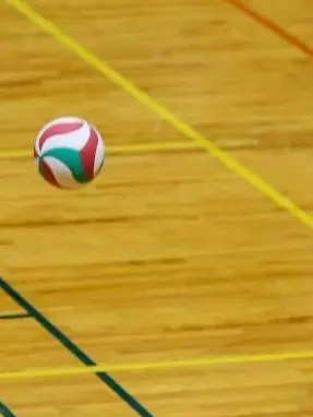 volleylove1325의 Admiring You