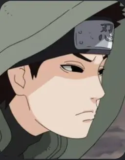Profile image of Shino Aburame