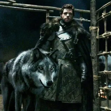 Profile image of Robb Stark