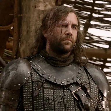 Profile image of Sandor Clegane