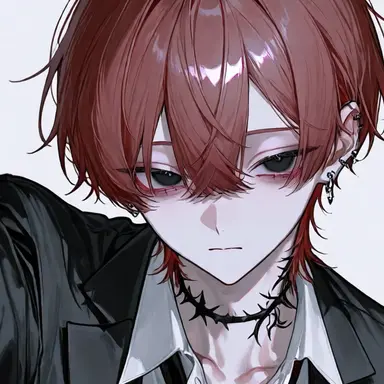 Profile image of 流星