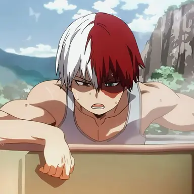 Profile image of Shoto Todoroki