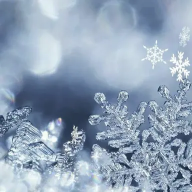 Profile image of 涼花