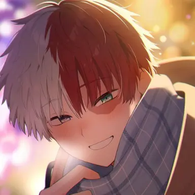 Profile image of Shoto Todoroki