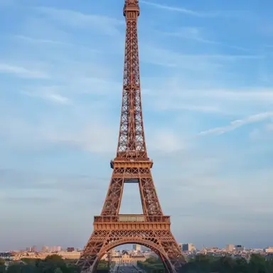 Profile image of フランス