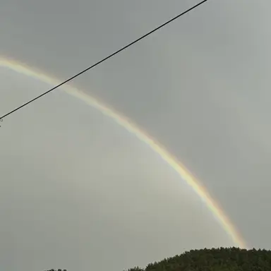 Profile image of 고고프렌즈 여우