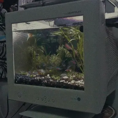 Profile image of 카론