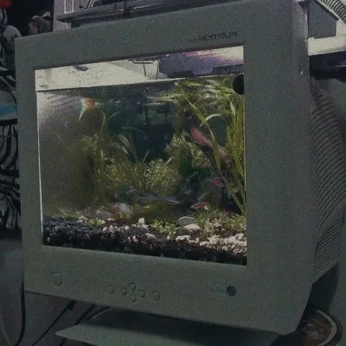 Riii의 교수님! 사랑이란 뭔가요?