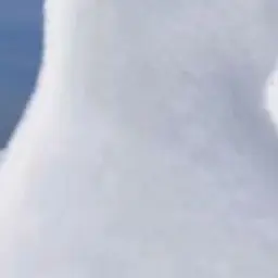 Profile image of 김여우