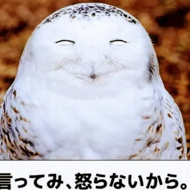 Profile image of ヤマト