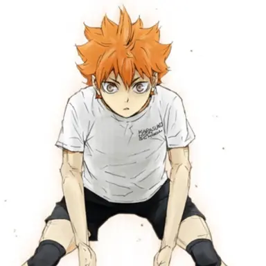 Profile image of 日向翔陽