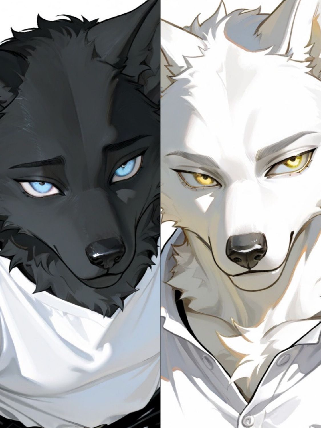 Ian & Lucian 대표 이미지