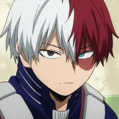 Profile image of Todoroki