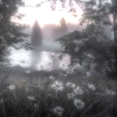 Profile image of 아신