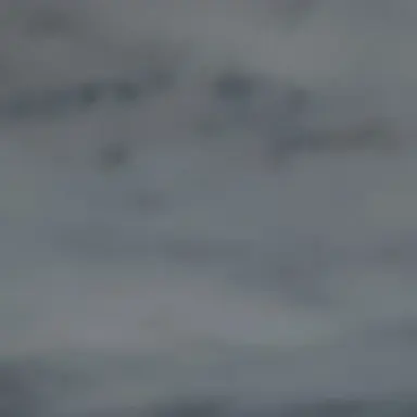 Profile image of 팀빠 고프 학교