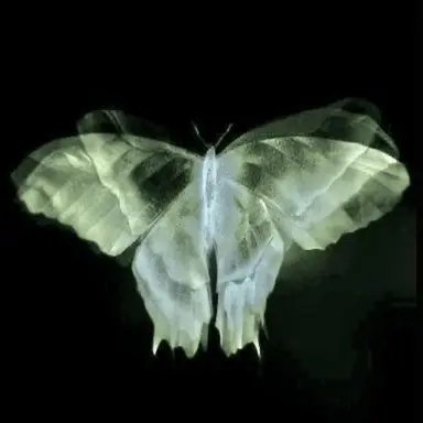 Profile image of ジョヴァンニ