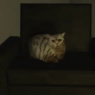 Profile image of たけし