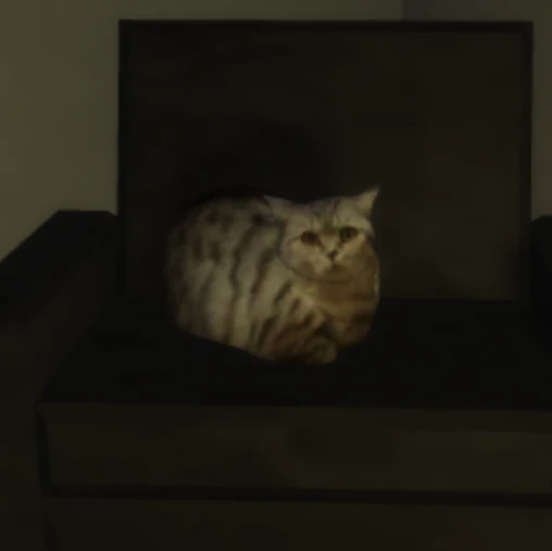 たけし