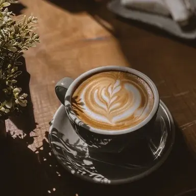 Profile image of ローレン・イロアス