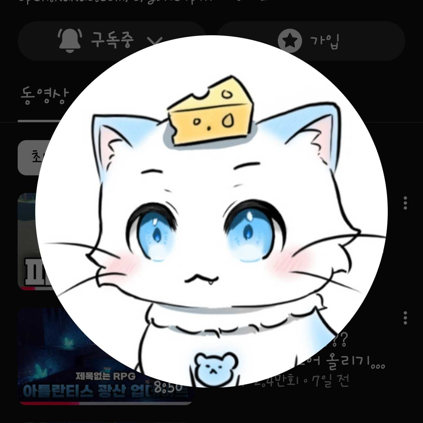 캣치즈 대표 이미지
