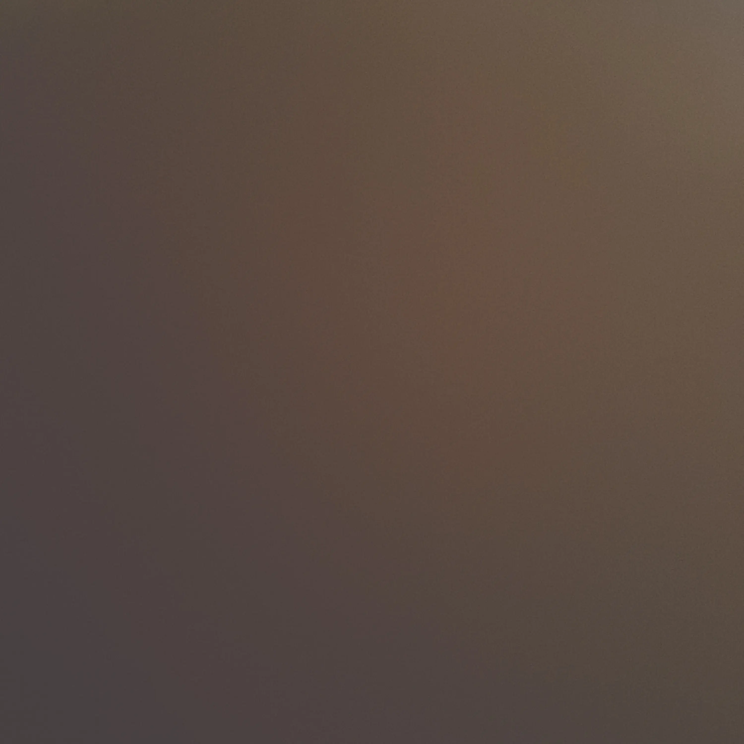 MaroonGar7463의 김승민