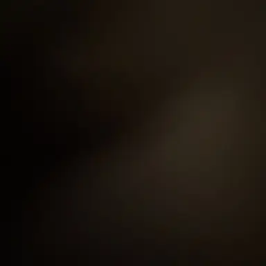 Profile image of 김승민