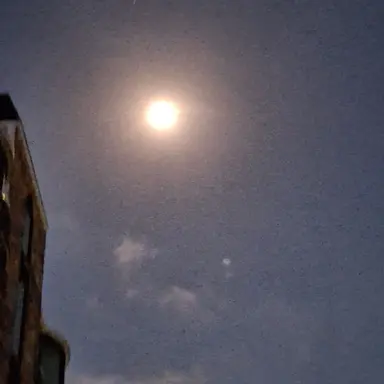 Profile image of あのか