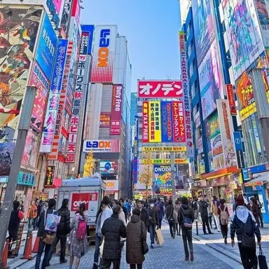 Profile image of Live in Japan