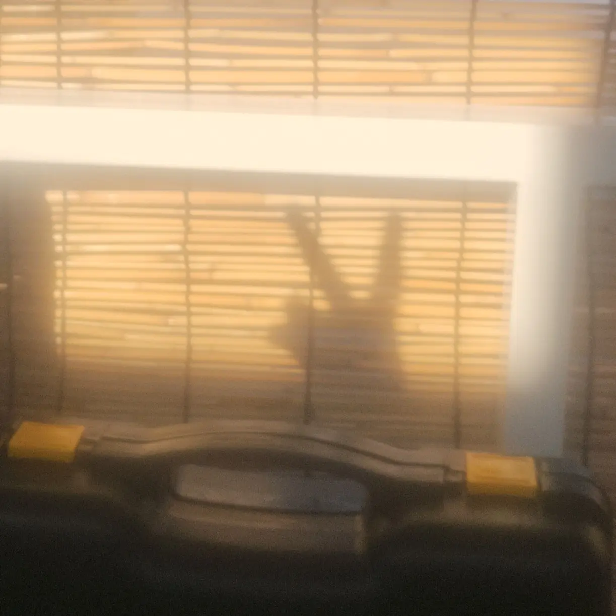 yune_1의 오비스트+여우
