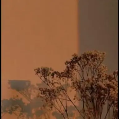 Profile image of 준브레드