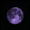 Profile image of 星導ショウ