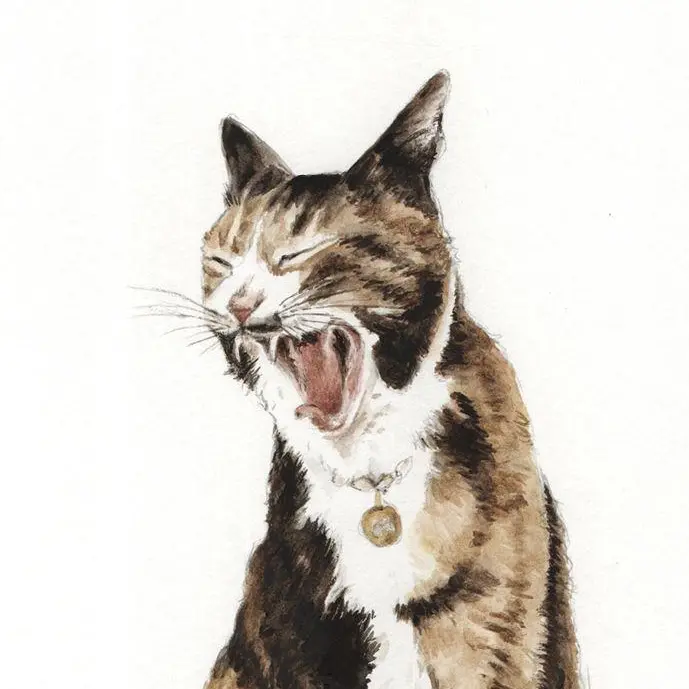 PoshCliff0100의 고양이 마초