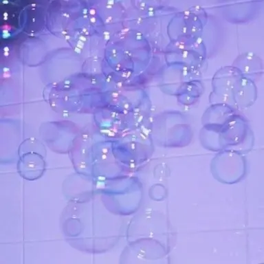 Profile image of 파스칼