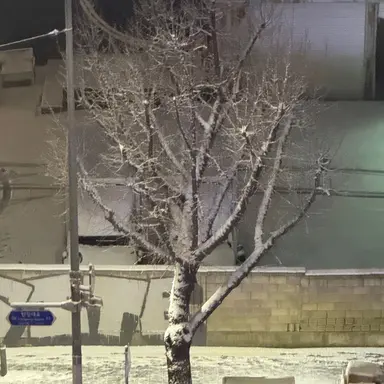 Profile image of 김동현