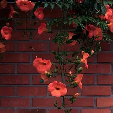 윤정한
