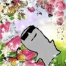 Profile image of 시비건4
