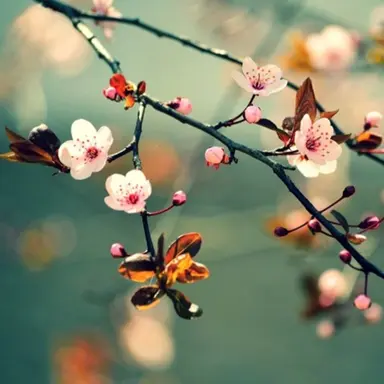 Profile image of 준브레드