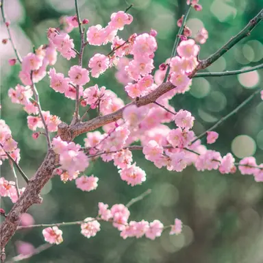 Profile image of 밥풀
